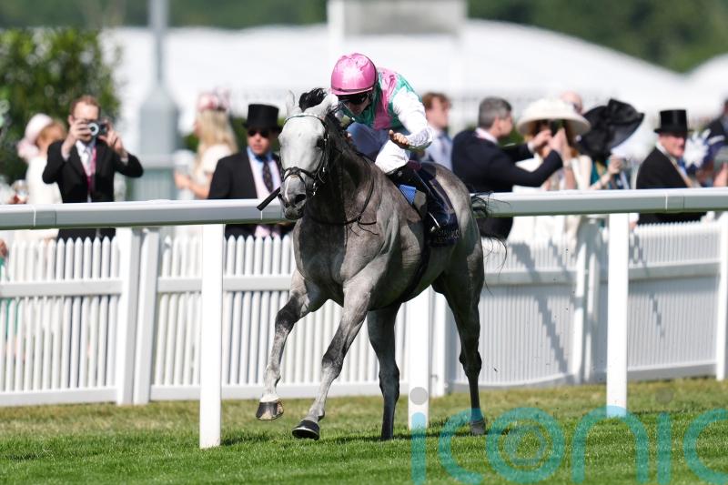 Field Of Gold raring to go again after Goodwood blip