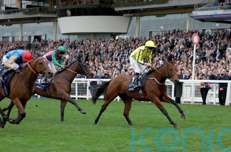 No rush to decide next move for shock Ascot winner Powerful Glory