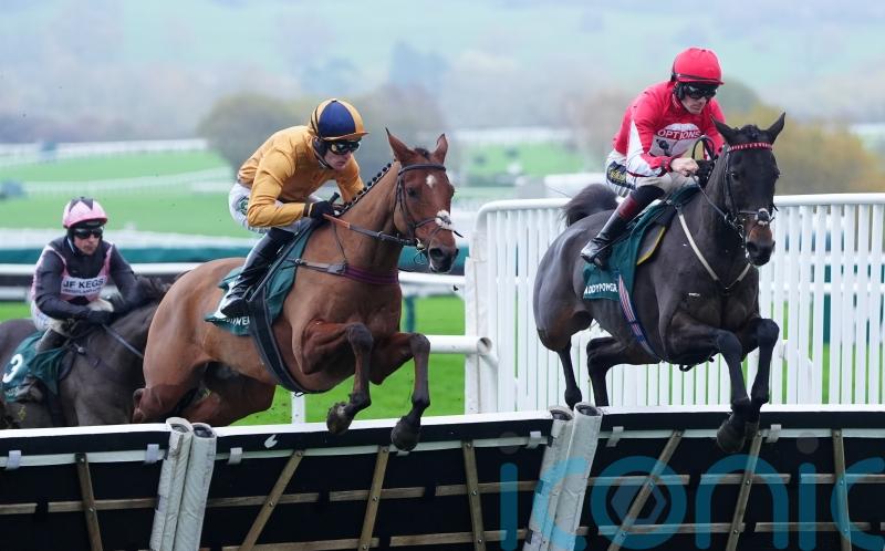 Johnson adapting to chasing winners as syndicate head