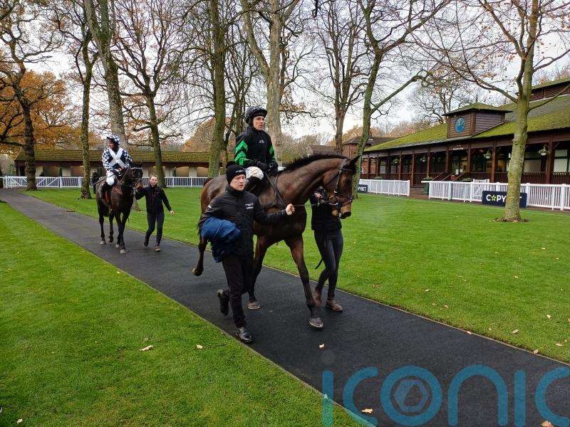 Supreme favourite Mydaddypaddy claims easy Haydock verdict