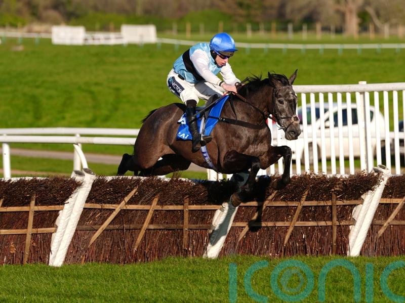 Tenter Le Tout provides perfect Finale for Chester Williams