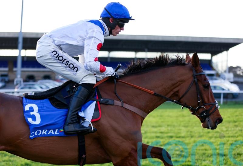 Kalif Du Berlais suffers fatal injury at Kempton