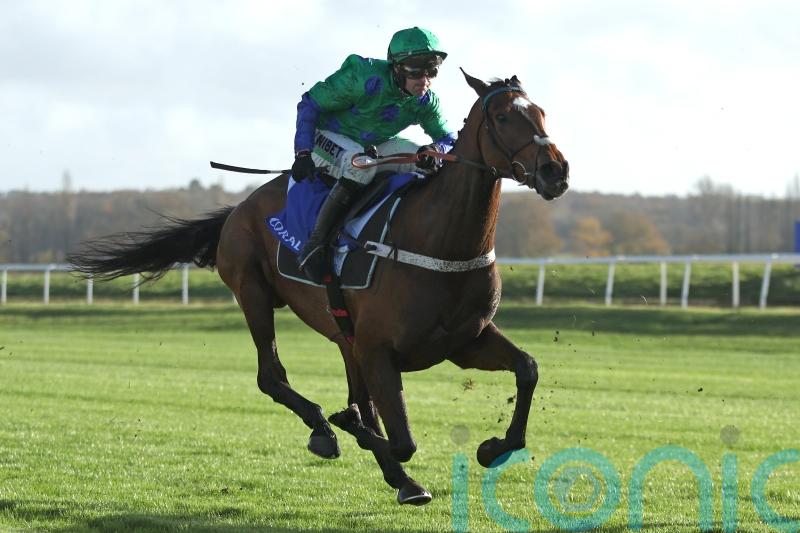 Act Of Innocence set to be seen next at Huntingdon