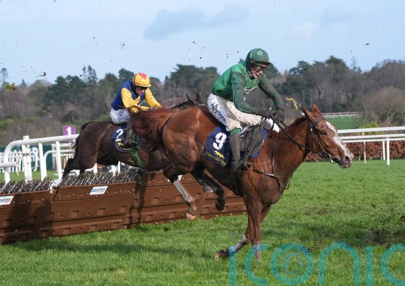 Talk The Talk pounces late for Leopardstown redemption