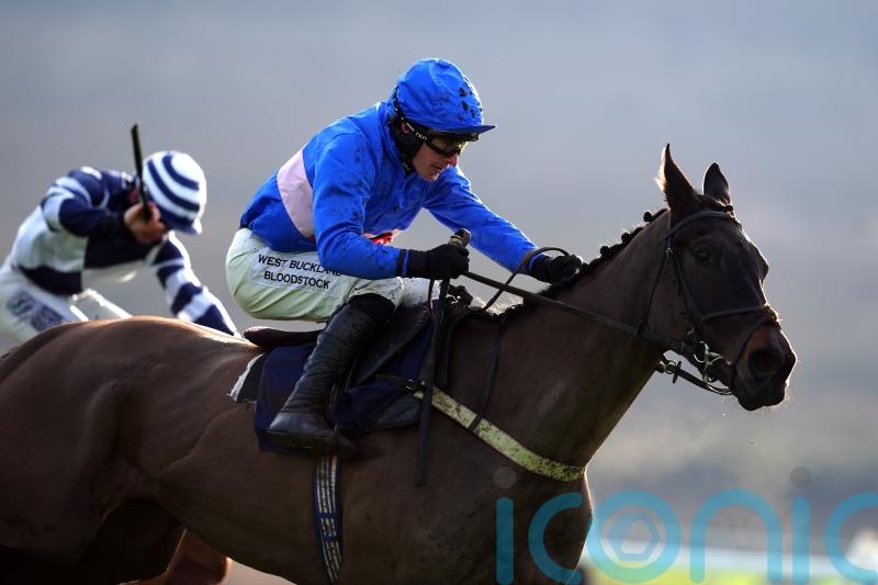 Williams prays for rain ahead of Juby Ball and Libberty Hunter Cheltenham bids