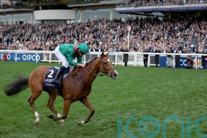 Calandagan steps up Dubai prep &ndash; but Sheema Classic trip in the balance