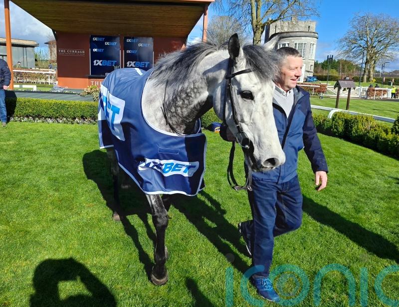 Einstein eclipsed as veteran Big Gossey takes Gladness again