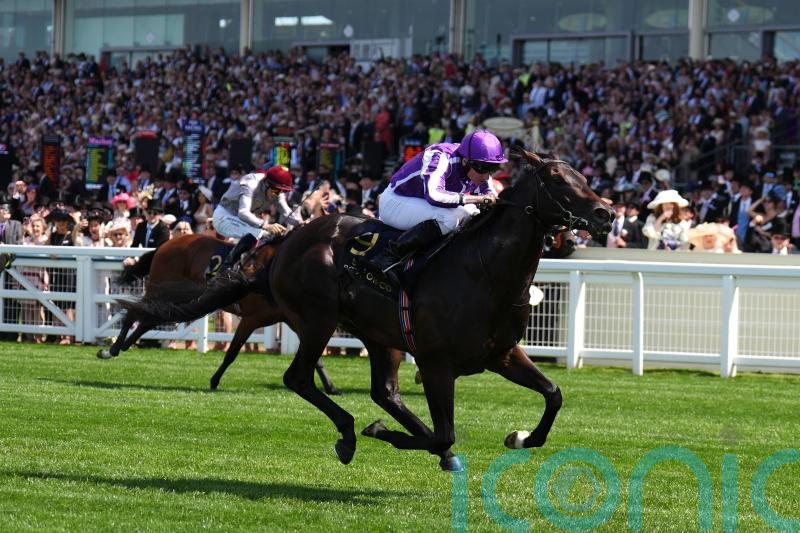 Albert Einstein and Gstaad taken out of Guineas due to clerical error