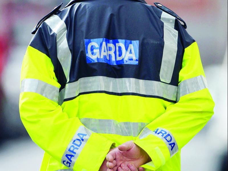 Garda&iacute; investigating as shots fired at home with children inside